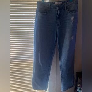 Hidden Los Angeles Denim Jeans